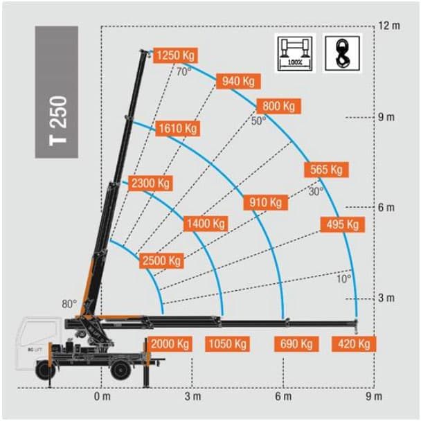 BG-T250 (2500 kg x 1,5 m) CON OPERATORE - immagine 4